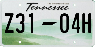 TN license plate Z3104H
