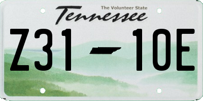 TN license plate Z3110E