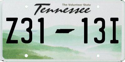TN license plate Z3113I