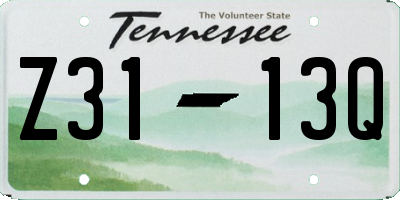 TN license plate Z3113Q