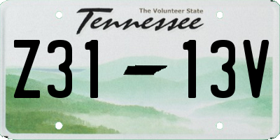 TN license plate Z3113V