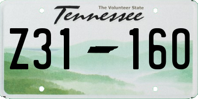 TN license plate Z3116O