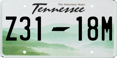 TN license plate Z3118M