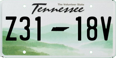 TN license plate Z3118V