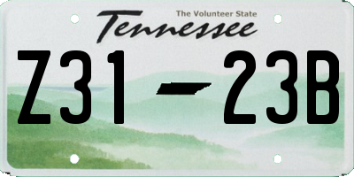 TN license plate Z3123B