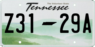 TN license plate Z3129A