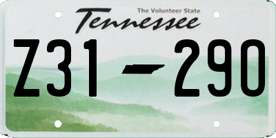 TN license plate Z3129O