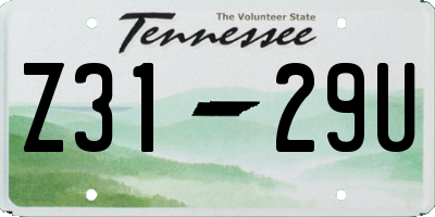 TN license plate Z3129U