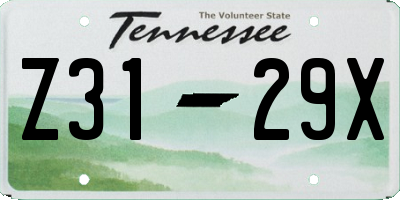 TN license plate Z3129X