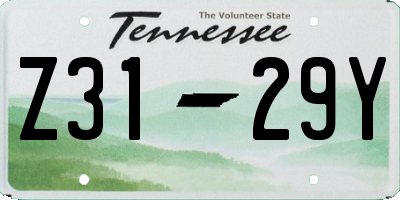 TN license plate Z3129Y