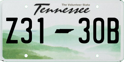 TN license plate Z3130B