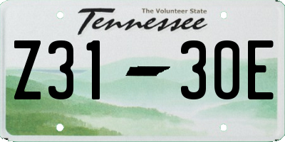 TN license plate Z3130E