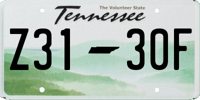 TN license plate Z3130F