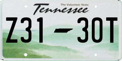 TN license plate Z3130T