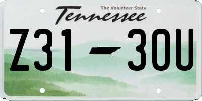 TN license plate Z3130U