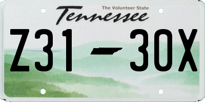 TN license plate Z3130X