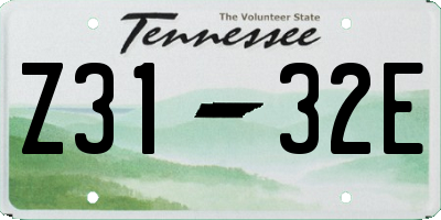 TN license plate Z3132E