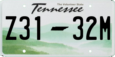 TN license plate Z3132M