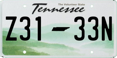 TN license plate Z3133N