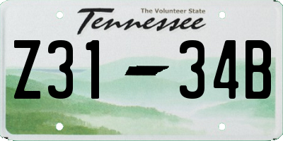 TN license plate Z3134B