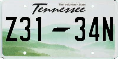 TN license plate Z3134N