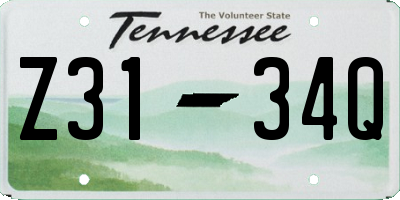 TN license plate Z3134Q