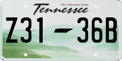 TN license plate Z3136B