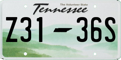 TN license plate Z3136S