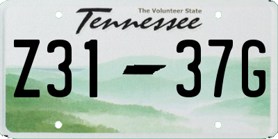 TN license plate Z3137G