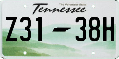 TN license plate Z3138H
