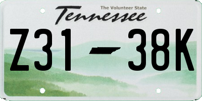 TN license plate Z3138K