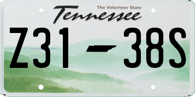 TN license plate Z3138S