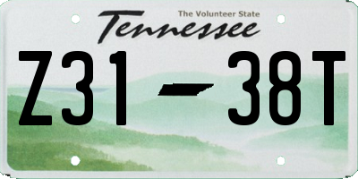 TN license plate Z3138T