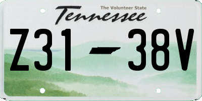 TN license plate Z3138V
