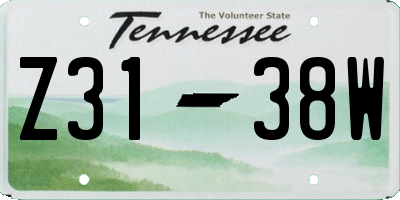 TN license plate Z3138W