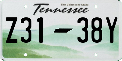 TN license plate Z3138Y