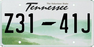 TN license plate Z3141J
