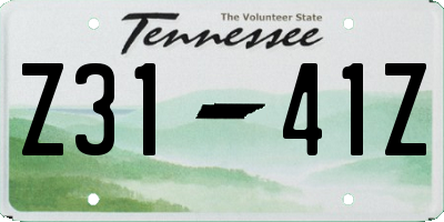 TN license plate Z3141Z