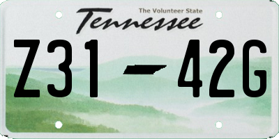 TN license plate Z3142G