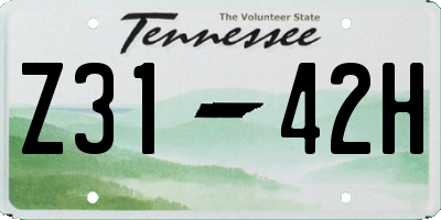 TN license plate Z3142H