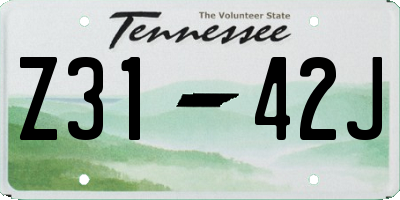 TN license plate Z3142J