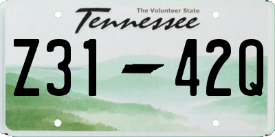 TN license plate Z3142Q