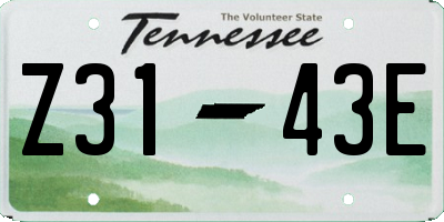 TN license plate Z3143E