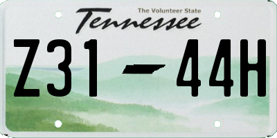 TN license plate Z3144H