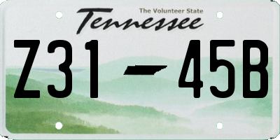 TN license plate Z3145B