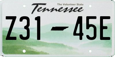 TN license plate Z3145E