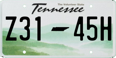 TN license plate Z3145H