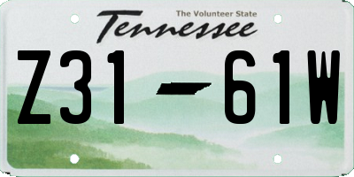 TN license plate Z3161W