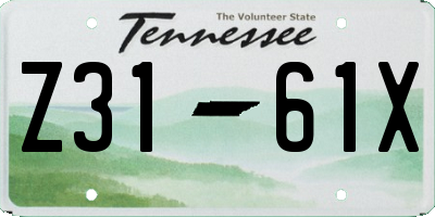 TN license plate Z3161X