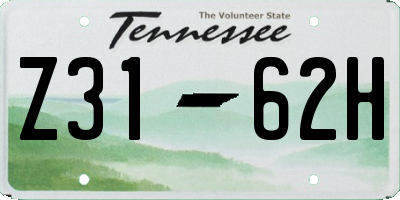 TN license plate Z3162H